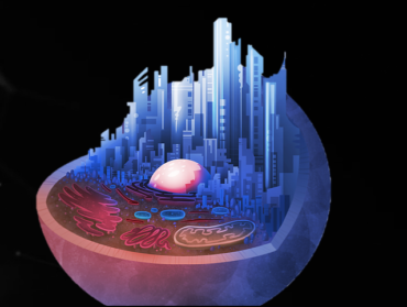 The World in a Cell